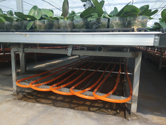 農業(yè)種植、養殖地源熱泵供暖系統